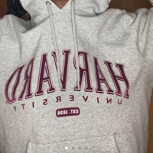 H&M Vintage Harvard Sweater